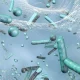 legionella risk assessment
